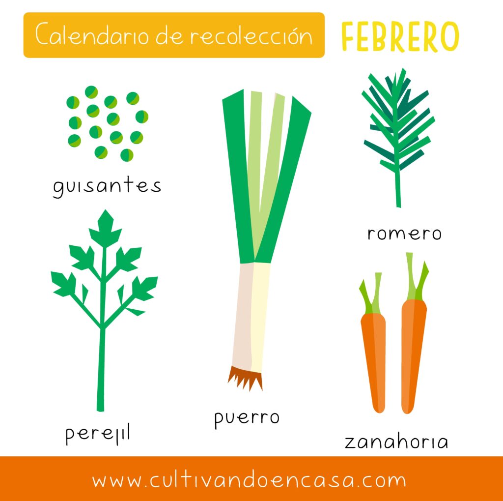 Calendario de recogida de febrero