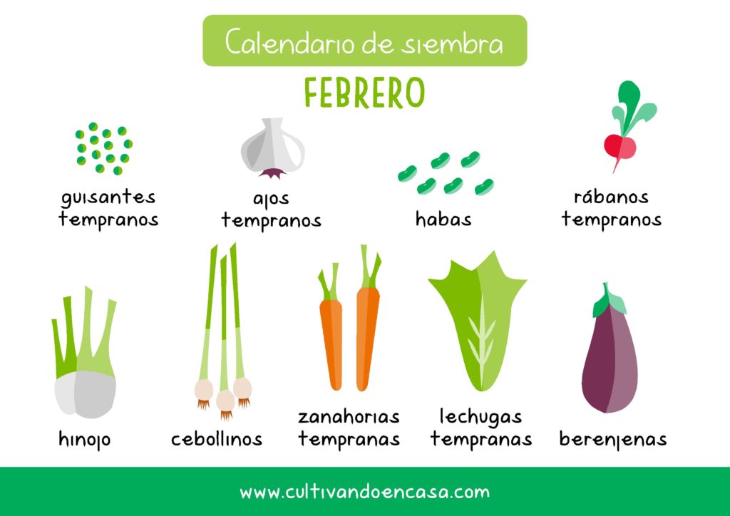 Calendario de siembra de febrero