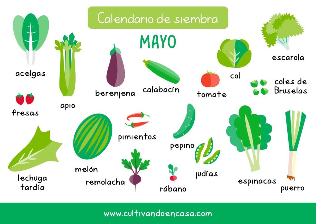 Qué plantar en mayo