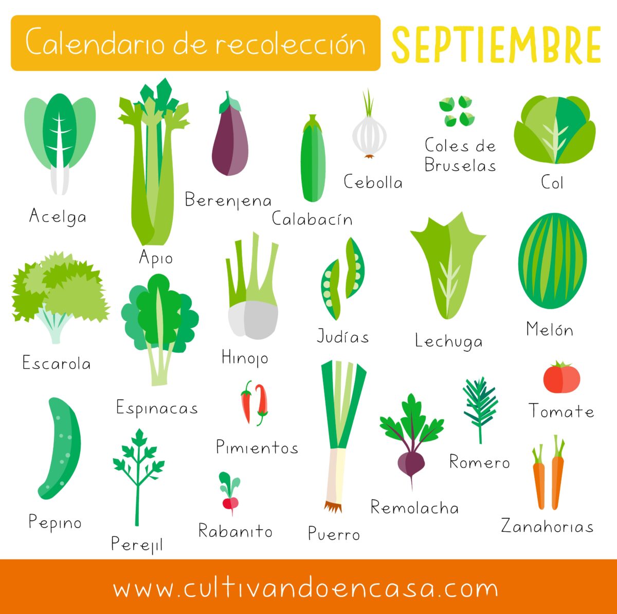 Calendario De Siembra De Septiembre Y Tareas Del Huerto