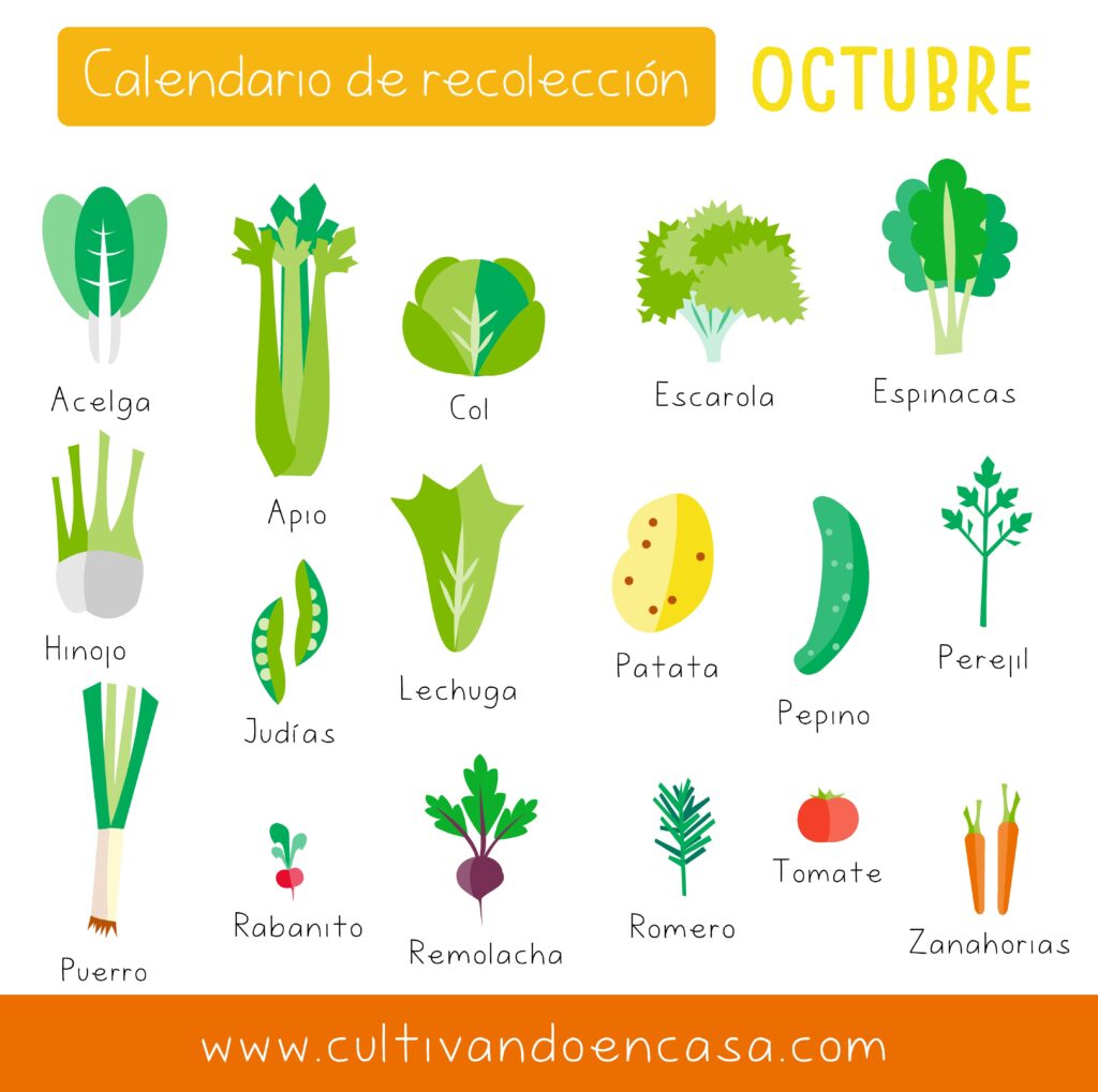 Calendario recogida septiembre