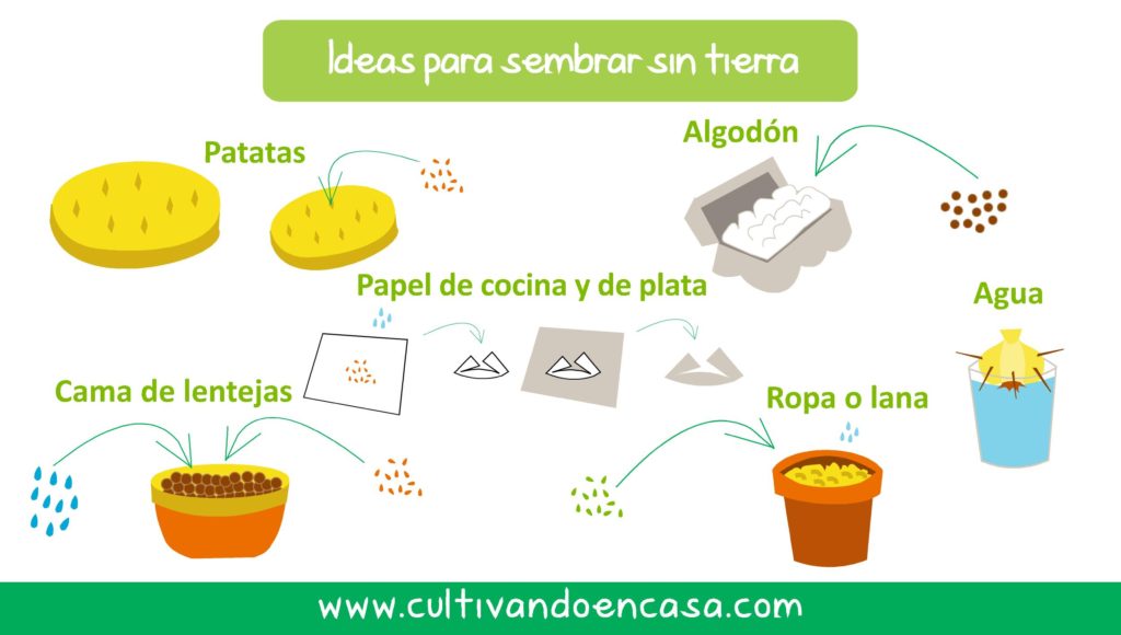 Ideas para sembrar sin tierra