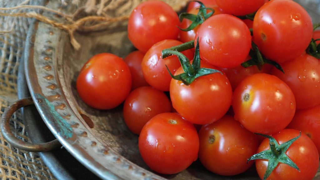 Cosecha de tomates