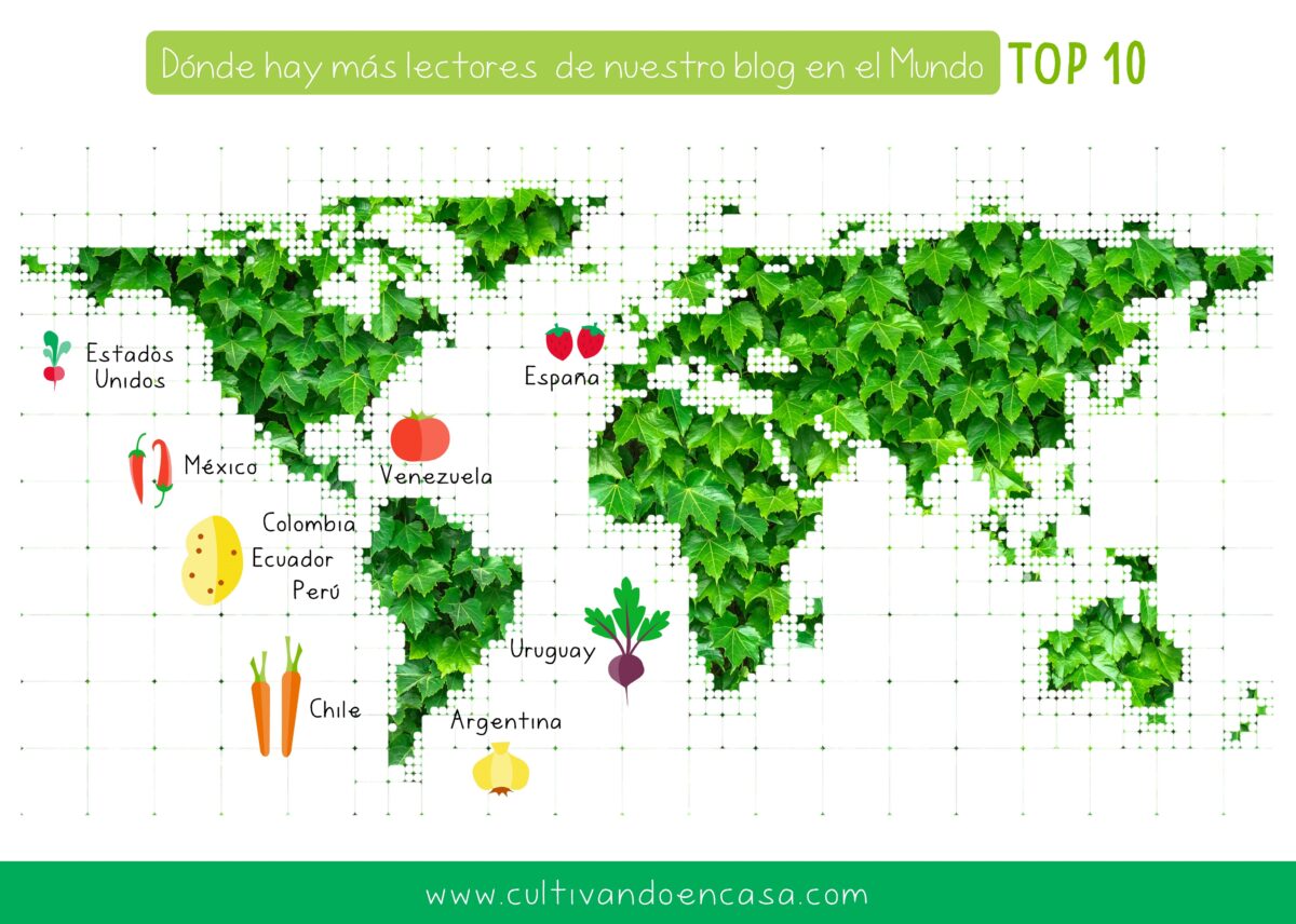 lectores de nuestro blog en el mundo