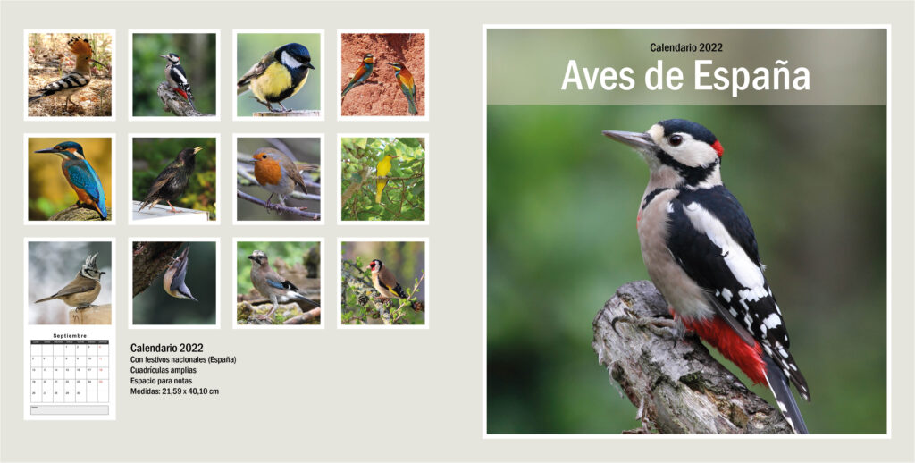 Calendario aves de España