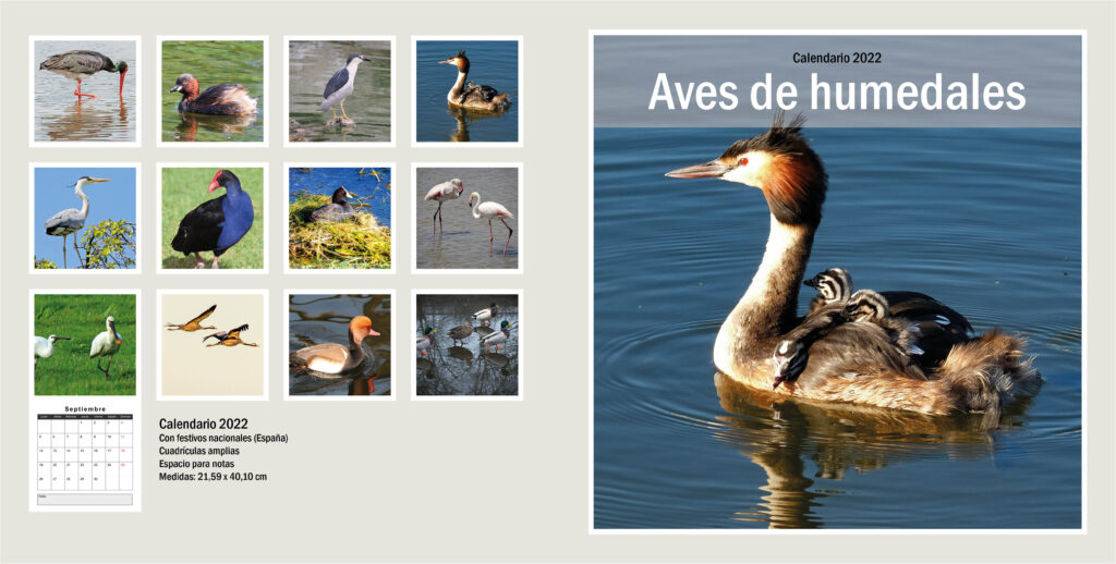 Calendario aves humedales