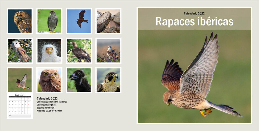 Calendario aves rapaces ibéricas