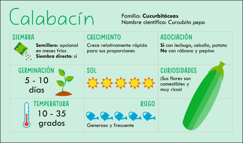 Ejemplo ficha de cultivo