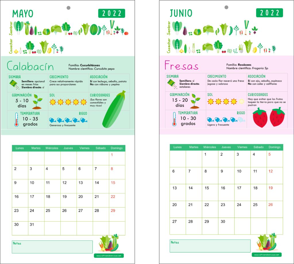 Ejemplo meses calendario 2022