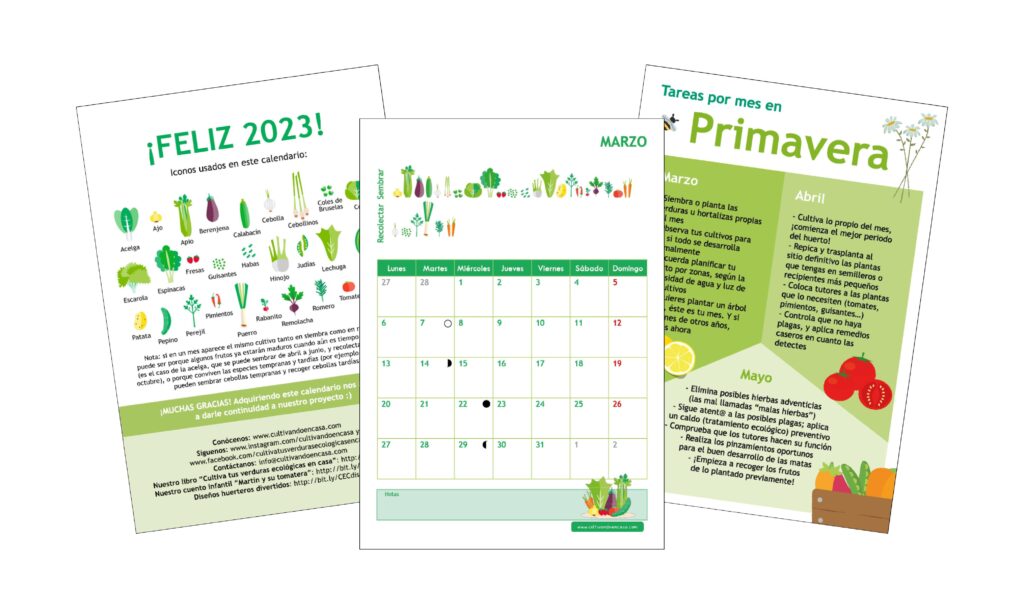 Calendario del huerto 2023 qué sembrar y recoger mes a mes
