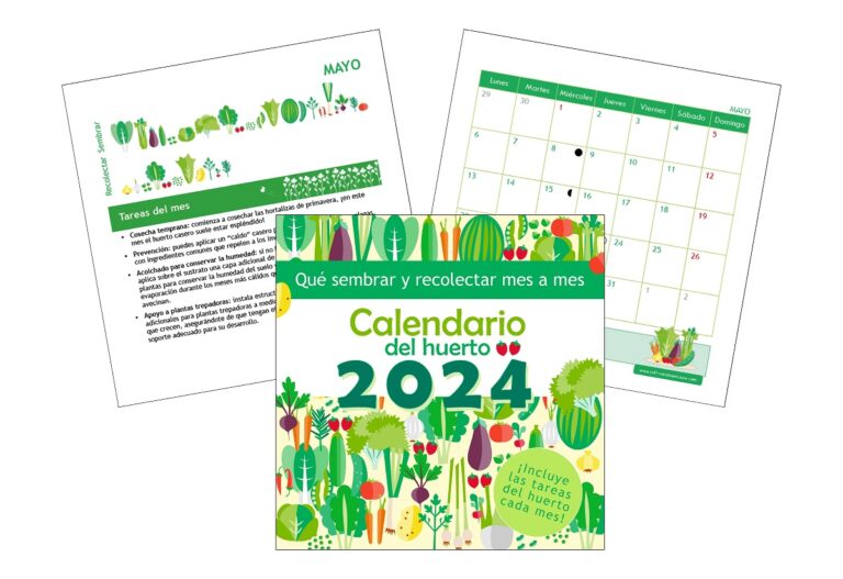 Calendario Del Huerto Siembra Recolecci N Y Mucho M S