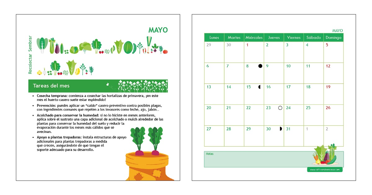 Calendario Del Huerto Siembra Recolecci N Y Mucho M S