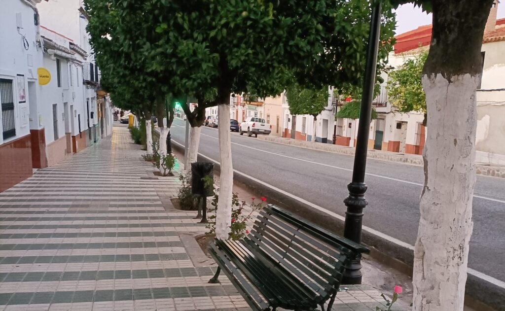 Árboles encalados en El Ronquillo