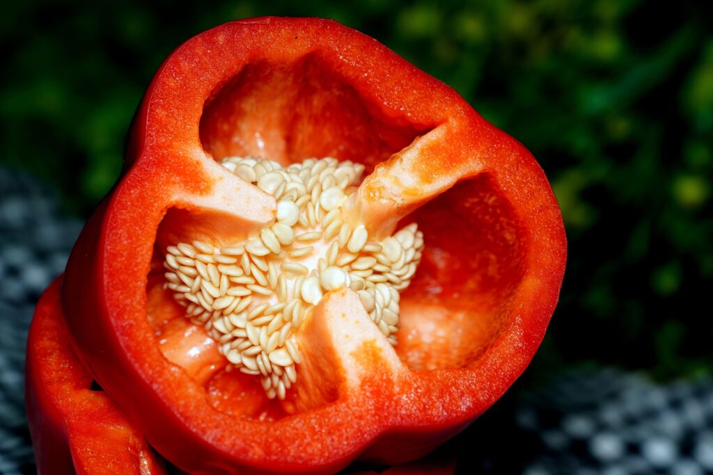 Semillas de pimiento