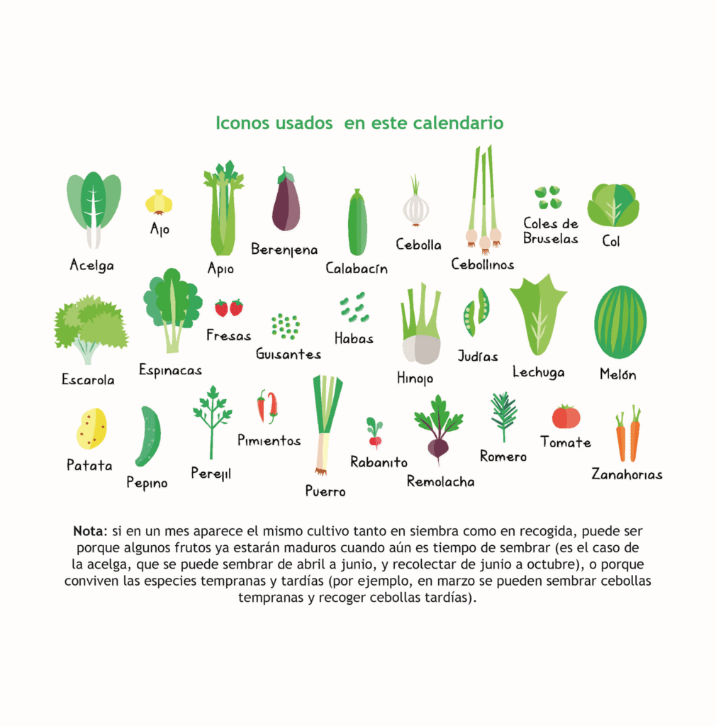 28 cultivos del Calendario del Huerto 2026