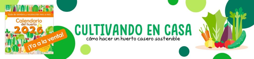 Banner superior calendario 2026