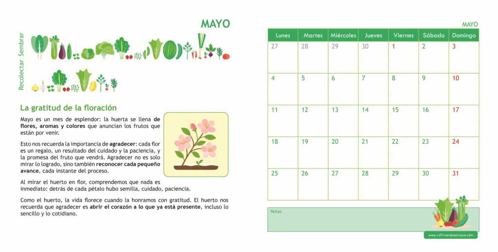 Mes de mayo del Calendario del huerto